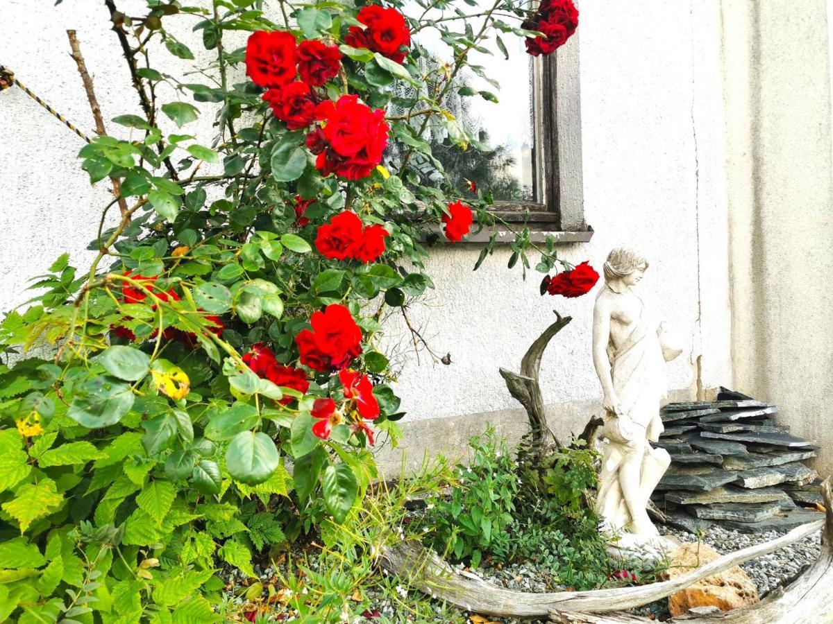 Ferienwohnung Am Bergmannsbrunnen Schönheide Εξωτερικό φωτογραφία